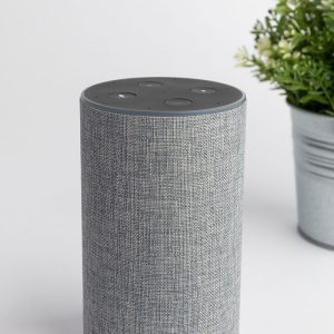 Amazon Portable Speaker